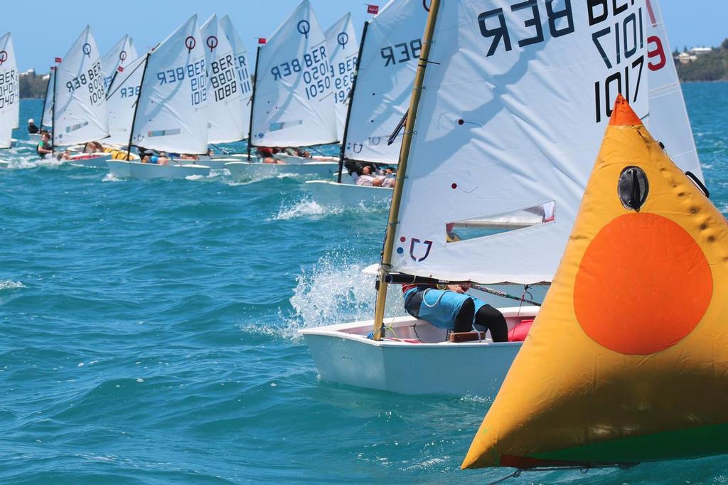 2013 Bermuda Optimist Team Trials © somers cooper